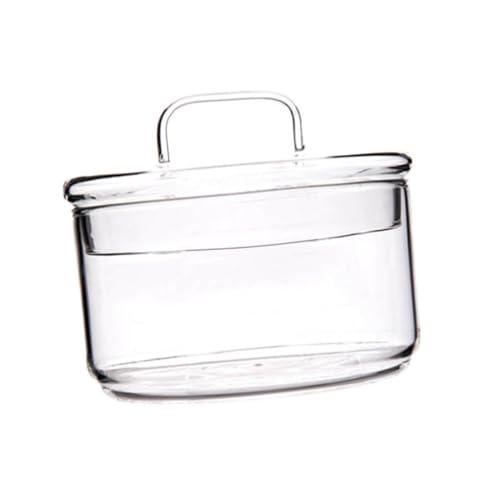 DECORNIJIA Ciotola Insalata in Vetro Trasparente Resistente al Calore con Scodella Dessert e Frutta per Servire Insalate Snack e Piatti Caldi Facile da e AntiGraffio