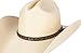 Queue Essentials Western Style Pinch Front Straw Canvas Cowboy Cowgirl Straw Hat (Canvas Sand, LXL)