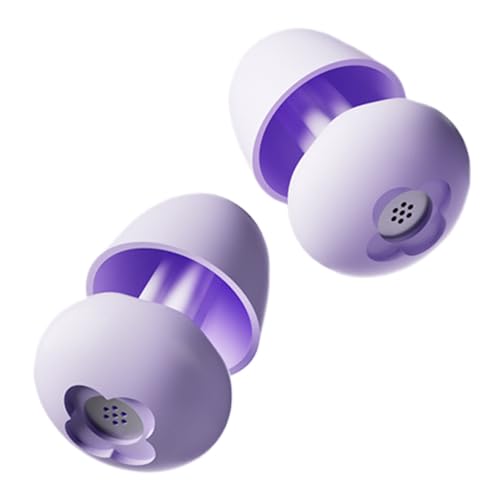 ̃vOA񕜂̂߂̎ - ̂߂̒oی,ÕTCNOƗsp̎LZ鉹̃ubLOmCY