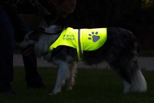 4LegsFriend Hunde Sicherheitsweste mit Leinenbefestigungsring 5 Größen - Hohe Sichtbarkeit für Outdoor Aktivitäten Tag und Nacht, Hält den Hund Sichtbar, Sicher vor Autos und Jagtunfällen (XL)