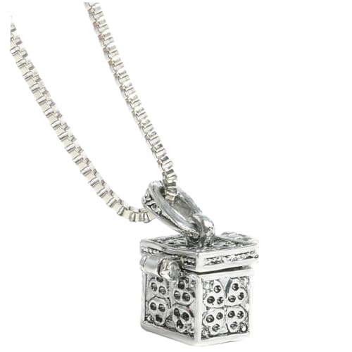 JOINPAYA Collier Urne pour Cendres D’Animaux en Acier Inoxydable Argenté Pendentif Boîte à Cendres Ouvrable pour Souvenir de Chien Accessoire Commémoratif Funéraire pour Animaux de