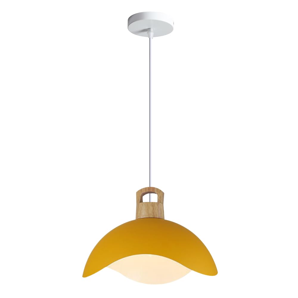 JISHUBO Fashion Ceiling Chandeliers, Creative Colored Hanging Light Lampshades, Embedded Installation Lamps, E27 Single Pendant Lamp, Bedroom Dining Room Balcony Decorated With Pendant Light.