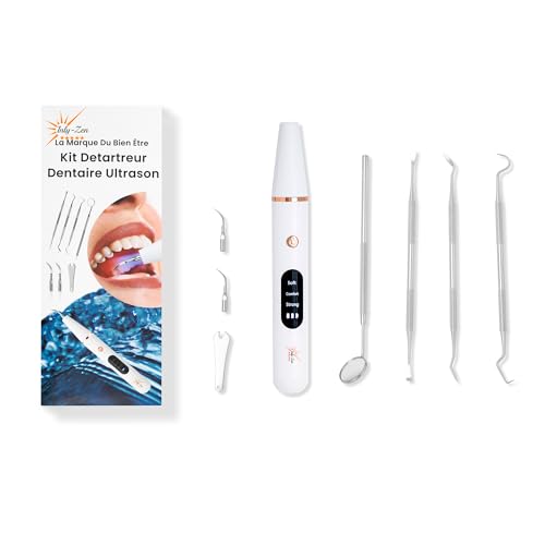 Inly Zen - Kit de cuidado dental en casa – Elimina el sarro y las manchas – 3 niveles de intensidad, 2 cabezales intercambiables, luz LED, recarga por USB – Ideal para una higiene bucal completa