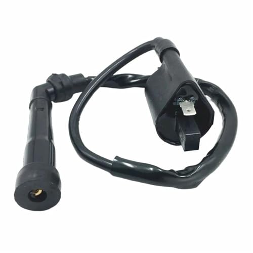 Bobina de encendido moto YFM125 YFM45F YFM600 Grizzly 600