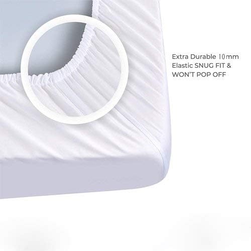 1000 Thread Count Solid Egyptian Quality 100% Cotton 1 PC Fitted Sheet(Bottom Sheet Only) Extra Long Fit Upto 15" inches Deep Pocket (Queen, White).