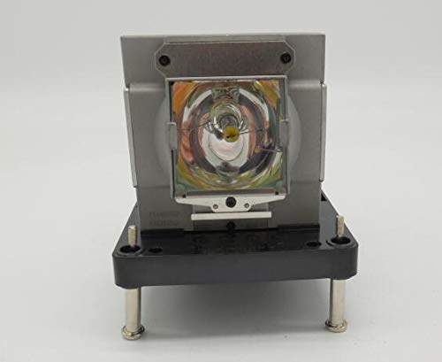 Ampoule de rechange Barco PJWU-101B avec boîtier R9832773 videoprojecteur