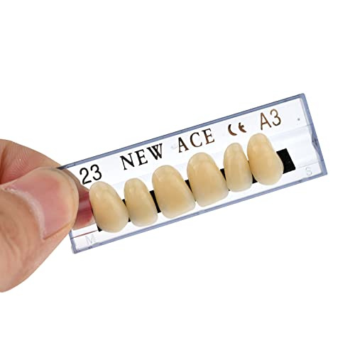 168 Pcs Dental Synthetic Resin Tooth Denture 3 Sets False Teeth 23 A3 Upper Lower Shade Dental For Halloween Horror Teeth #TOP4
