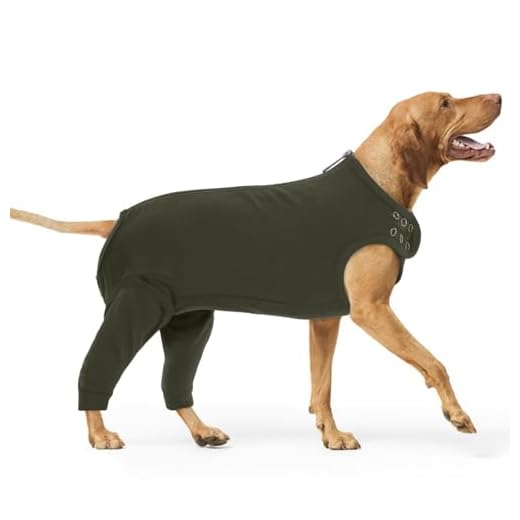 PUMYPOREITY Wundschutzanzug Hund, Op Body Nach Kastration Ellbogenschoner Leckschutz Hinterbeine Halskrause Hunde Beinschutz Knieschoner Recovery Sleeve Hunde Schutzbody(Moosgrün, 2XL)