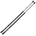 Produktbild Frankberg 2x Gasfeder Dämpfer Heckklappe Kompatibel mit 5er Touring E61 520 523 525 530 535 545 550 M5 Kombi 2004-2010 Replace# 51247178273
