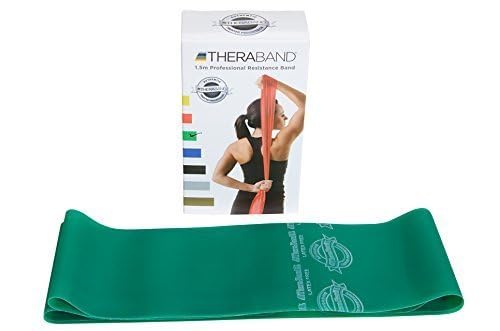 TheraBand Resistance Exercise Band for Heavy Workout/Gym/Yoga and Physical Therapy - for Beginners and Intermediates (Green, 12Ft.) (B07PG8Y1W6) Amazon Price History, Amazon Price Tracker