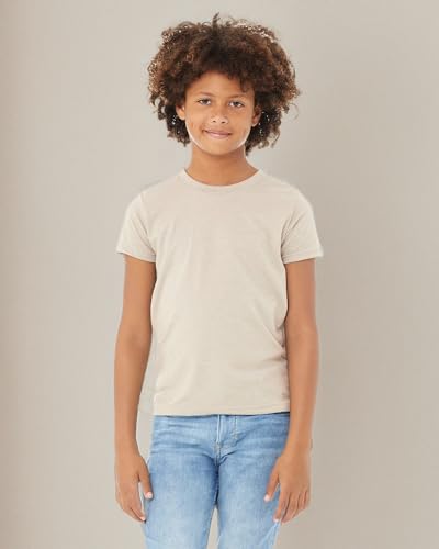 Bella Canvas Toddler Jersey Tee 2T Heather Dust3