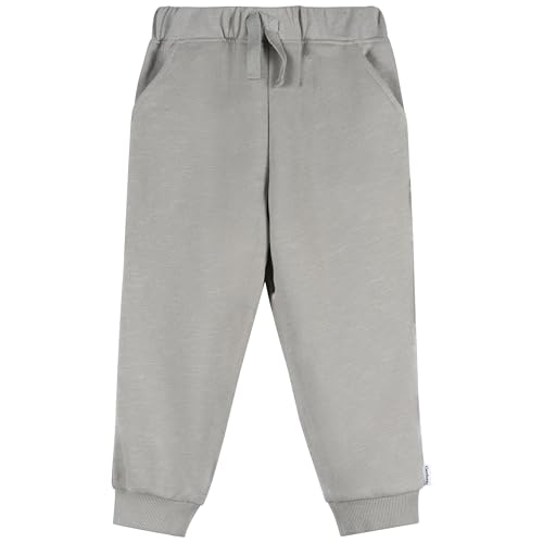 Gerber baby-boys 2-piece Top and Joggers Set4