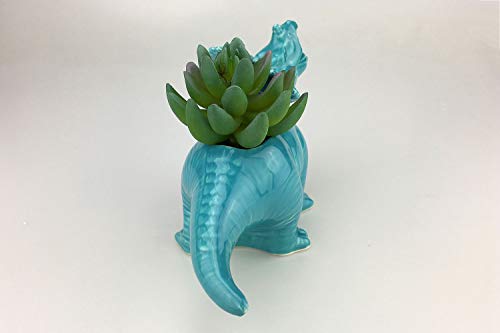 Vanenjoy Cute Cartoon Dinosaur Ceramic Succulent Planter, Water Culture Hydroponics Bonsai Cactus Flower Pot,Air Plant Vase Holder Desktop Decorative Organizer (Triceratops With Hole, Blue) #TOP6