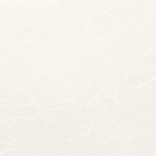 Hanji Printer Paper A4, 80Gsm, Korean Traditional Mulberry Copy Paper, 100 Sheets, Premium Quality Copy Printer Paper, 8.3X11.7 Inches (White) #TOP1