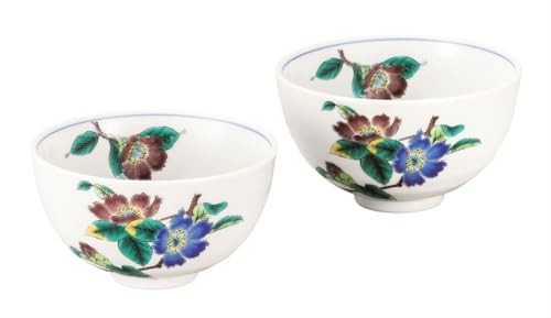 iJ}wJāxgјqR K9-519