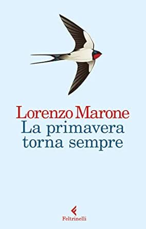 Amazon.com.br eBooks Kindle