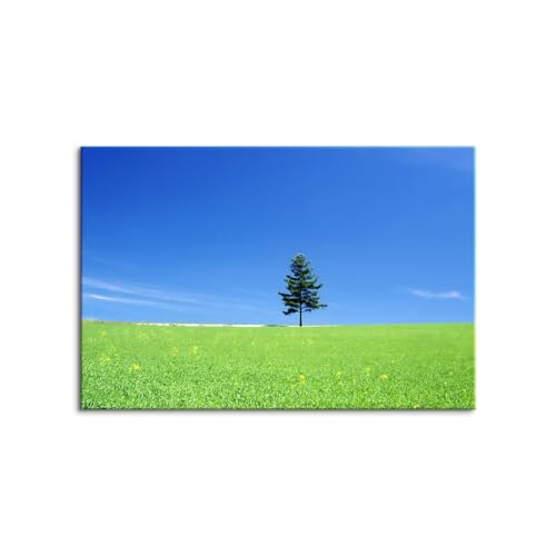 CeA |vƃWKC ^/A[gtHg G xXg z z i G |X^[ pl rO  v[g _ A[gt[   Ǌ| G ؘgt̊i? (40x60cmi16x24inj,A