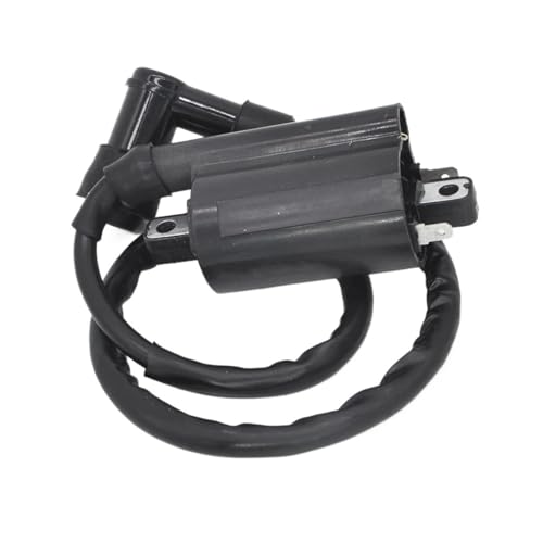 Bobina de encendido para LH250 y XV250 1995-2007 contra tirones de motor 2