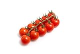 tomate cherry calorias 🍅Tendrás El Pedido En Casa En 24 Horas De Lunes A Jueves. Los Pedidos Realizados A Partir De Las 12 Horas Del Jueves Se Gestionarán El Lunes Para Que Lleguen En Las Mejores Condiciones A Tu Casa