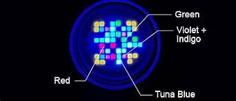 Kessil A360X Tuna Blue LED Light مع وحدة تحكم وحزمة Gooseneck