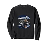 Snowmobiling Snowmobile Rider Winter Sports