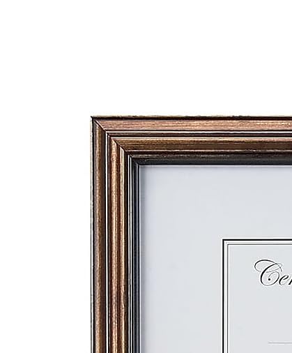 Amazon.com - STAPLES Document & Certificate Frame for Diplomas and
