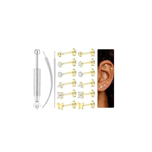 Chriscoco - Chriscoco 6 Paires 16G/18G/20G Piercing Tragus Acier Chirurgical Piercing Labret Levre Piercings Oreille Nez Or Argent Percings Helix Medusa Conch pour Femme