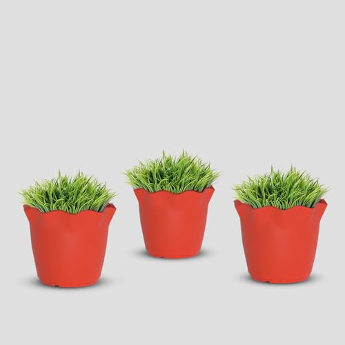 Image of YUCCABE ITALIA SHERA 4 Inch Plastic Flower Pot 3 Piece Set of Unbreakable Round Shape Planter for Home Garden Seedling, Indoor and Outdoor (Red)