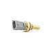 Delphi TS10253 Switch