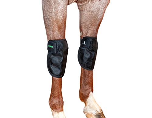 Image of Classic Equine MagNTX Knee Wrap