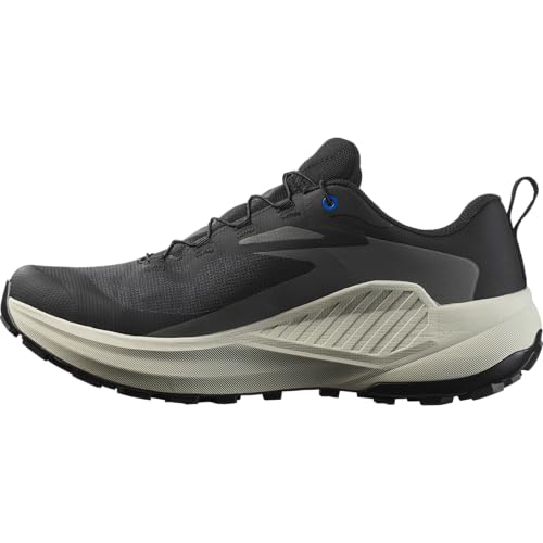 Salomon Trail Running Genesis GTX Herrenschuhe, Schwarz, Lunar Rock, 42 2/3 EU