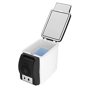 Weikeya Auto Koelkast, Koelere Warmer Mini Sigarettenaansteker Socket Gemaakt van Abs DC 12V (Zwart+Wit)