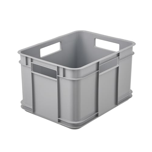 keeeper Transportbox mit Tragegriffen, Euro-Box M, 16 l, 35 x 27 x 22 cm, Bruno Eco Line, Grau (Eco Stone Grey)