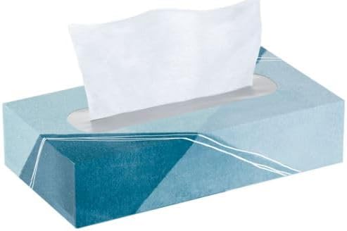 Signature-Facial Tissues, 2-Ply Flat Box, 110 Tissues/Box, 4 Pack (440 Total Sheets), Soft & Absorbent, Fragrance-Free