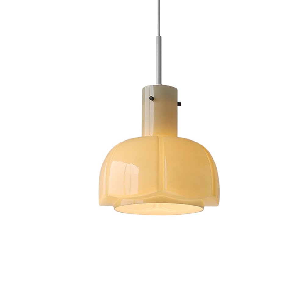 Lampe Suspendue Vintage E27 en Verre et Plafonnier Chinois Réglable