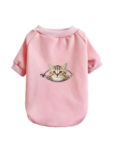  ʔ G qL lR ybg hbOEFA ̕ L ybgEFA h _炩 іh~   t@bV U ybgpi