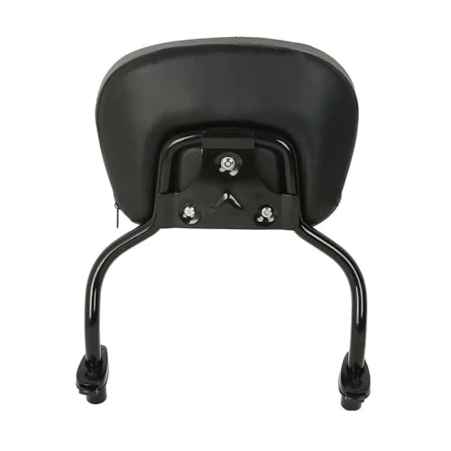 Accessoires pour FLRT FreeWheeler coussin dossier passager moto