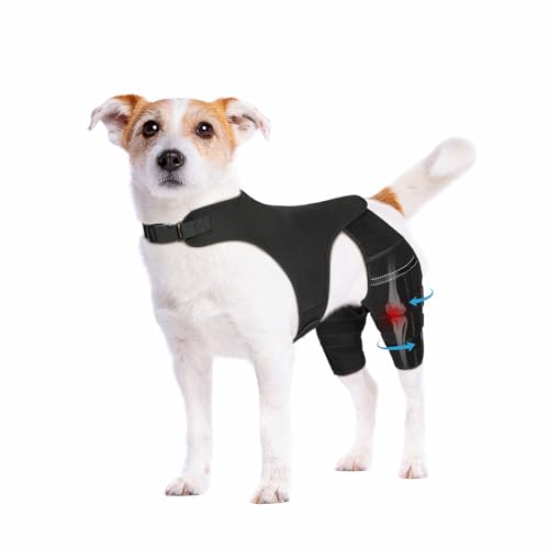 Pawfun Dog Knee Brace for ACL & Ligament Injuries