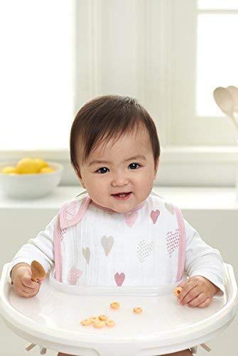 aden + anais snap bibs 3 pack, rock star3