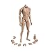 ZYAQ 1/6 Scale Narrow Shoulder Action Figure Male Muscular Body Toys Doll for TTM18 TTM19 Hot Toys
