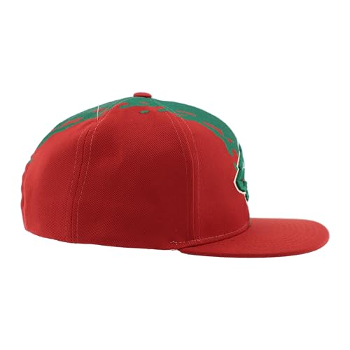 Image of ZHATS NHL Unisex-Adult NHL Officially Licensed Adjustable Snapback Hat Flat Bill Z11 Retro Paintbrush