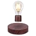 VGAzer Magnetic Levitating Floating Wireless LED Light Bulb Desk Lamp for Unique Gifts, Room Decor, Night Light, Home Office Decor Desk Tech Toys