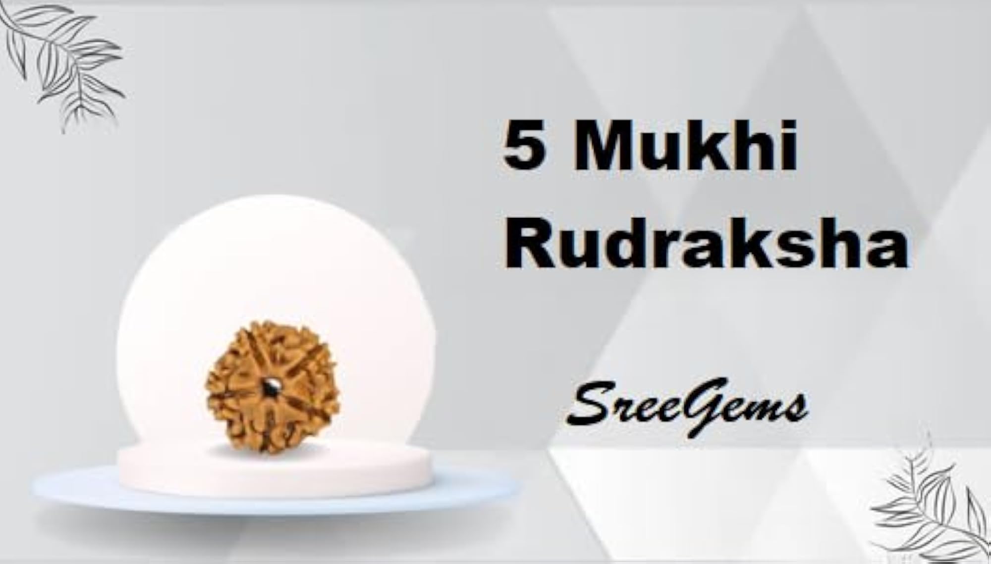 5 Mukhi Rudraksha Pendant with Silver Capping, Blessed by Bhagwan Shiv