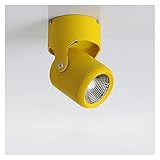Materiales de alta calidad: base giratoria de 360°; rotación horizontal de 180°; chip COB; cuerpo de lámpara de aluminio puro; reflector óptico