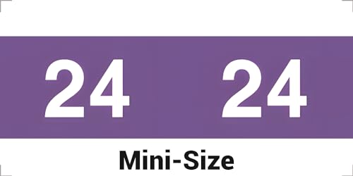 2024 MINI Year Labels, Doctor Stuff 2024 Chart Stickers, Purple Color Coded, AMES/IFC CL6105 Style, USA Made Year Stickers for End Tab File Folders, 1000/Roll, 1 Roll, 1/2