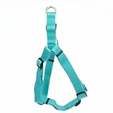 Coastal - New Earth Soy - Adjustable Dog Harness, Mint, 3/8" x 12"-18"