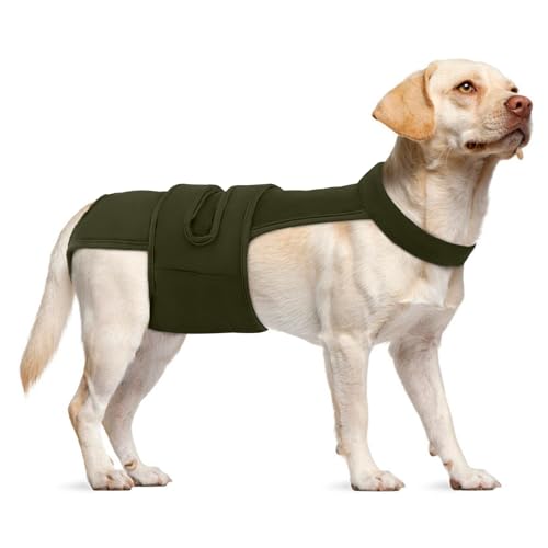Image of Lelepet Female Dog Diapers with Suspenders, Washable & Reusable Army Green | Adjustable and absorbent dog diapers for heat cycles, incontinence, and senior dogs. Comfortable all-day fit. Pet panties