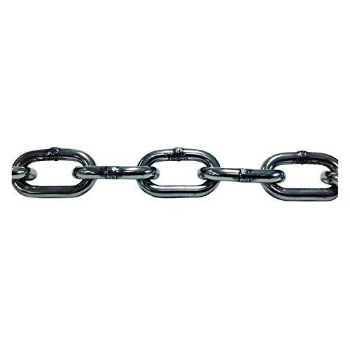 Chain, 5 ft L, Trade Size 3/16 in., 304L SS