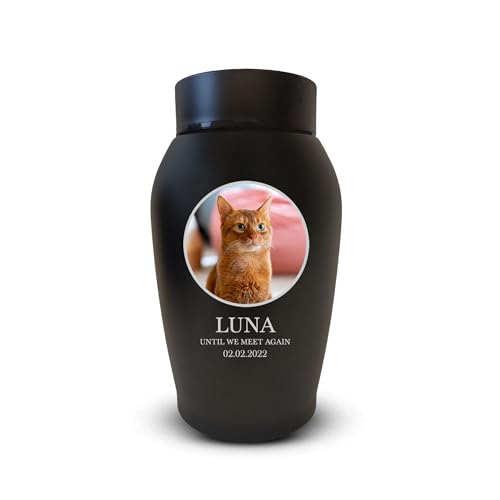 Personalized Custom Photo Cat Urn Engraved Cat Name and Date Stainless Steel Cremation Urns for Feline Ashes with Pet Photo | Up to 50 Lbs | Standard 7