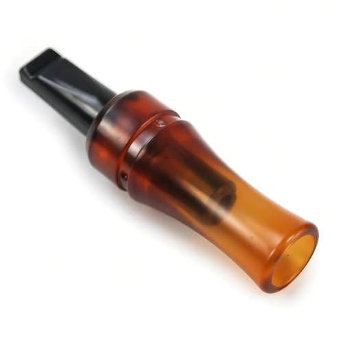 JXĂѓJ, ybgPc[, gїpgzCbX gx nCLO ToCo AEghA